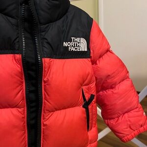 The North Face Red and Black Puffer Jacket Weather-Resistant Insulation